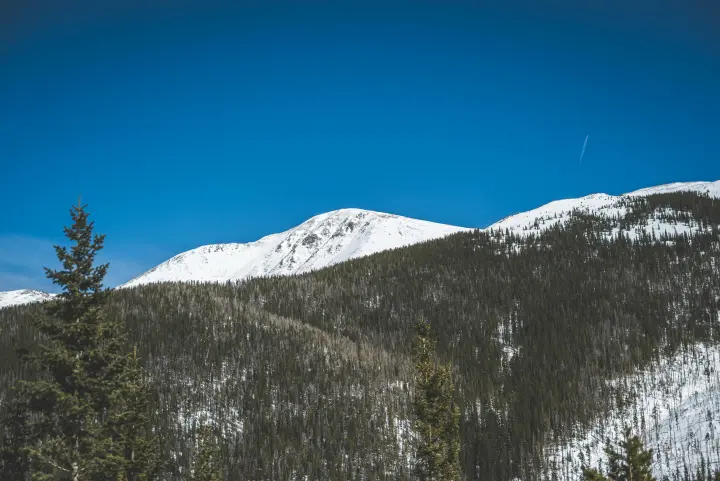 Snow-covered mountain with pine trees and a clear blue sky.